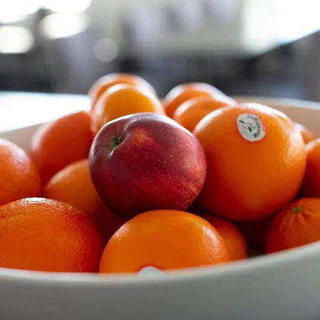 Sjoholt Sommerhotell 호텔 *