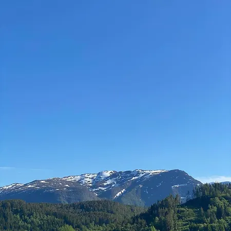 Sjoholt Sommerhotell 호텔